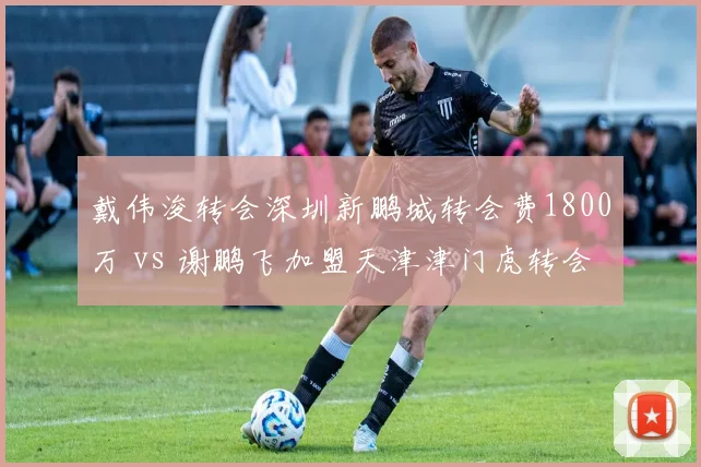 戴伟浚转会深圳新鹏城转会费1800万 vs 谢鹏飞加盟天津津门虎转会费1500万，中场组织者身价分化